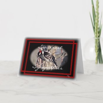 Male Downy Woodpecker 8843- Customize Card by MakaraPhotos at Zazzle
