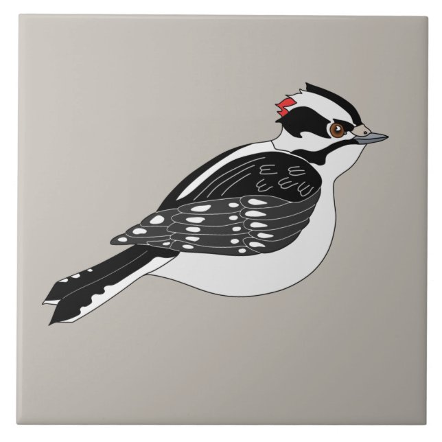 Male Downy Woodpecker Bird with Red Head Ceramic Tile (Front)