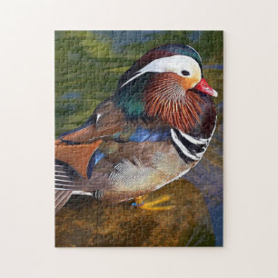 Male Duck Jigsaw Puzzle