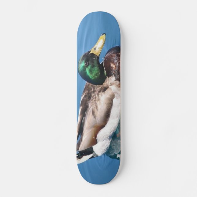 Male Duck Skateboard Deck (Front)