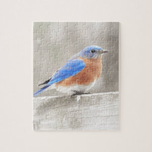 Male Eastern Bluebird Jigsaw Puzzle