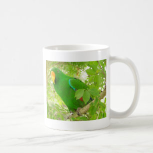 Male Eclectus Parrot Coffee Mug