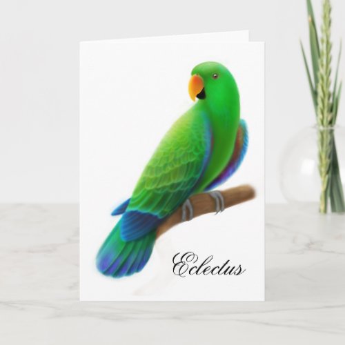 Male Eclectus Parrot Greeting Card