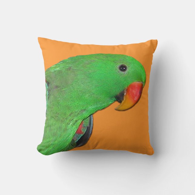 Male Eclectus parrot throw pillow (Front)