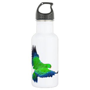 Male Eclectus Stainless Steel Water Bottle