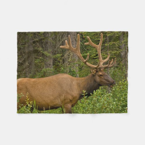 Male Elk  Banff National Park Alberta Canada Fleece Blanket