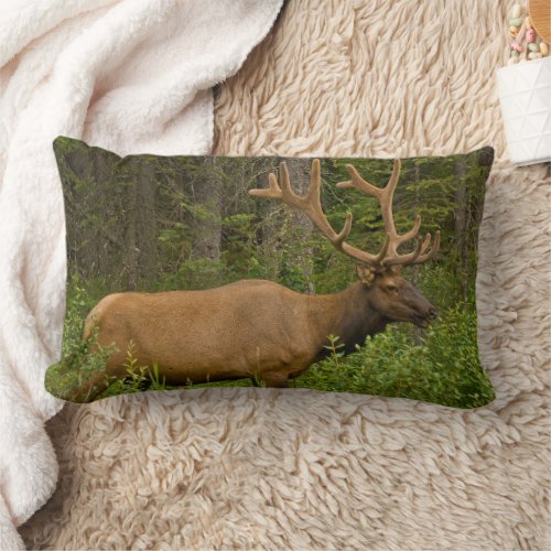 Male Elk  Banff National Park Alberta Canada Lumbar Pillow