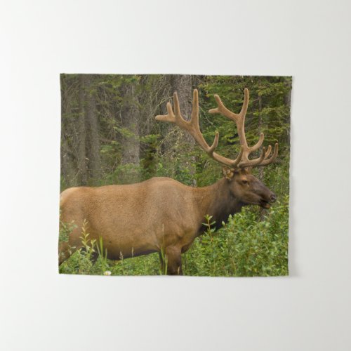 Male Elk  Banff National Park Alberta Canada Tapestry