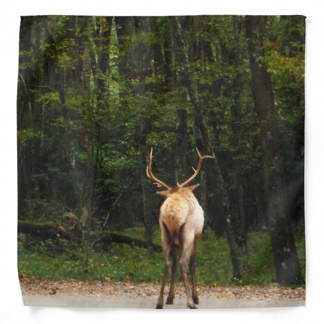 Male Elk Butt in autumn field Bandana (Front)