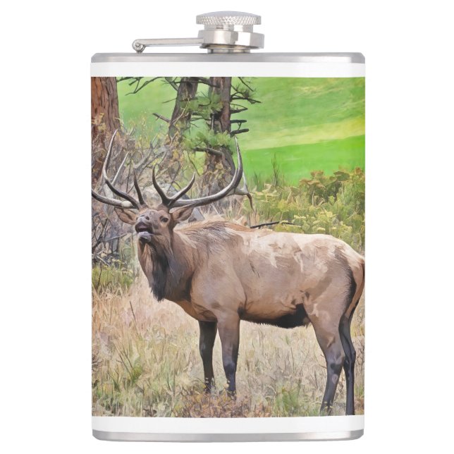 Male Elk in Estes Park, Colorado during September Flask (Front)