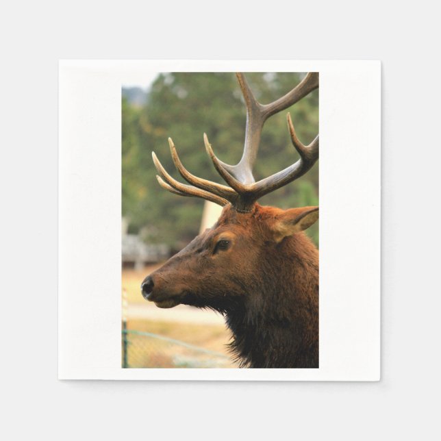 Male Elk Paper Napkins (Front)
