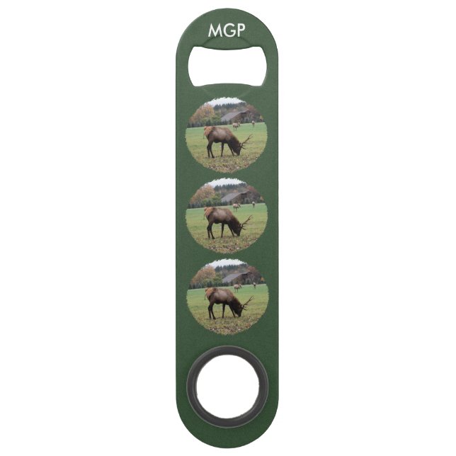 Male Elk Photograph Antlers Field Autumn Bar Key (Front)