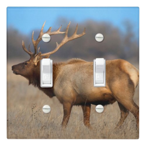 Male elk profile in autumn light switch cover
