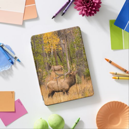 Male elk  Rocky Mountain National Park Colorado iPad Air Cover