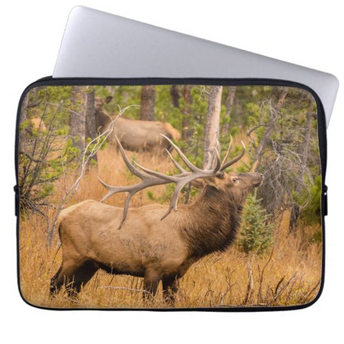 Male elk  Rocky Mountain National Park Colorado Laptop Sleeve