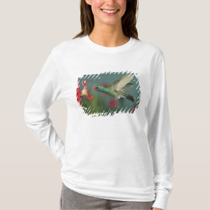male feeding on Petunia, Madera Canyon, Arizona, T-Shirt