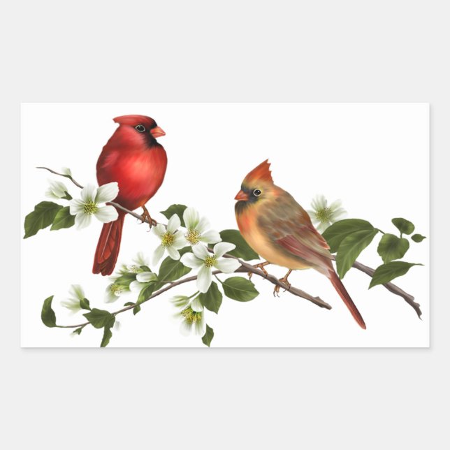 Male Female Cardinals Dogwood Blossoms Branch Rectangular Sticker (Front)