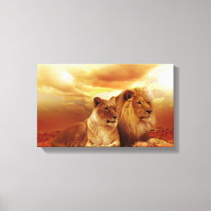 MALE & FEMALE LIONS PHOTOGRAPHY WRAPPED CANVAS