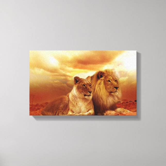 MALE & FEMALE LIONS PHOTOGRAPHY WRAPPED CANVAS PRINT (Front)