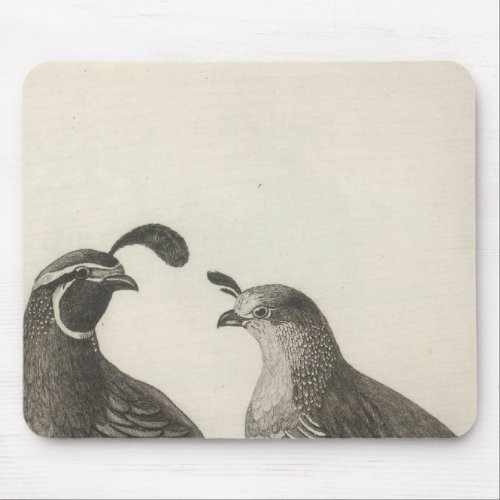 Male  Female Partridge of California Mouse Pad