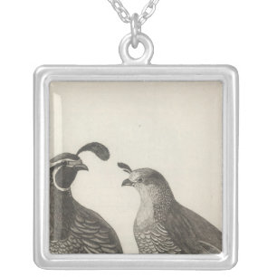Male & Female Partridge of California Silver Plated Necklace