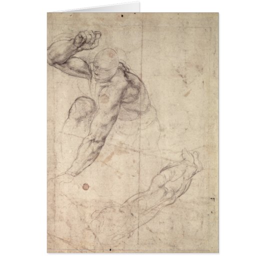 Male figure study cards (Front)
