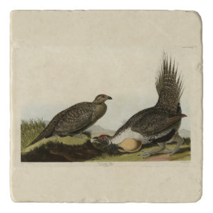 (Male Fowl) of the Plains Audubon Birds of America Trivet