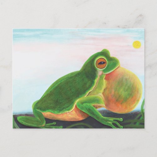 Male frog sing a song to attract a mate  postcard