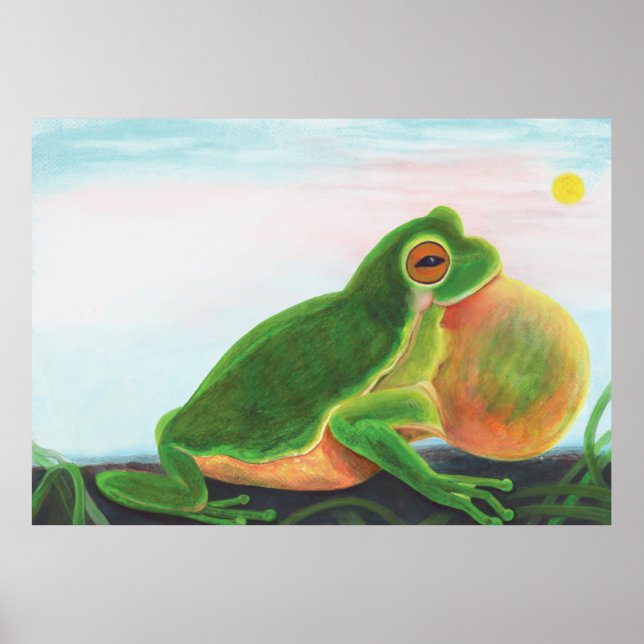 Male frog sing a song to attract a mate poster (Front)