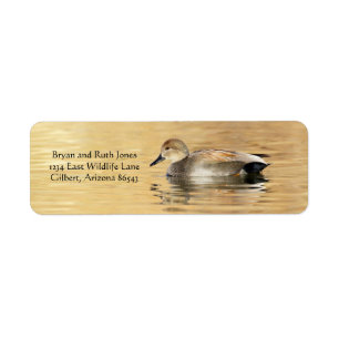 Male Gadwall Duck Label