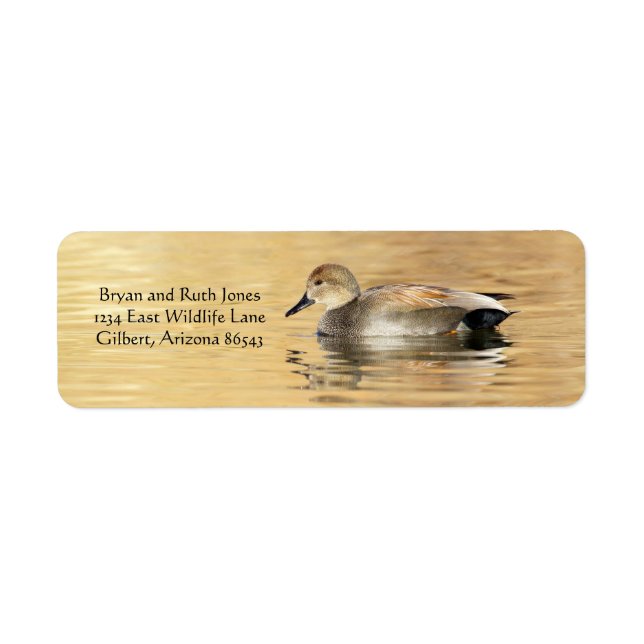 Male Gadwall Duck Label (Front)