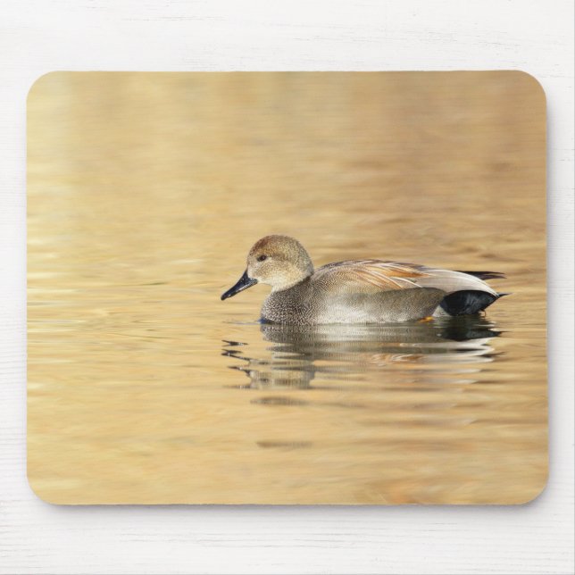 Male Gadwall Mouse Pad (Front)