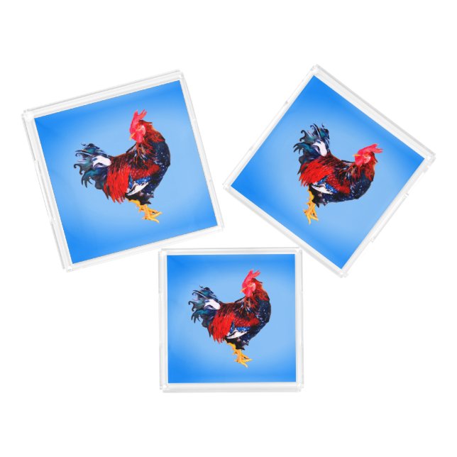 male gallinaceous ,rooster acrylic tray (Set)