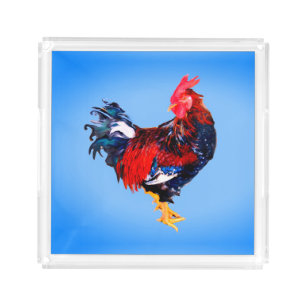 male gallinaceous ,rooster acrylic tray