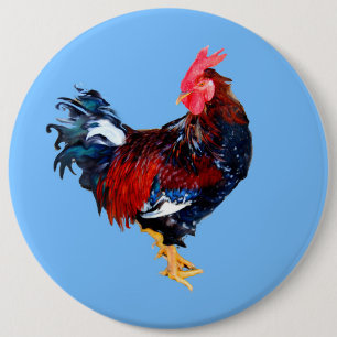 male gallinaceous ,rooster button