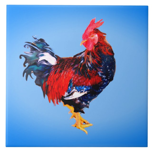 male gallinaceous ,rooster ceramic tile (Front)