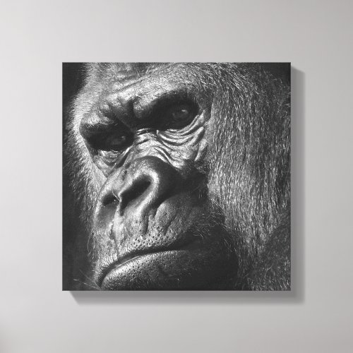 Male Gorilla Canvas Print