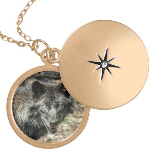 Male Grey Wolf Wildlife Gift Locket Necklace