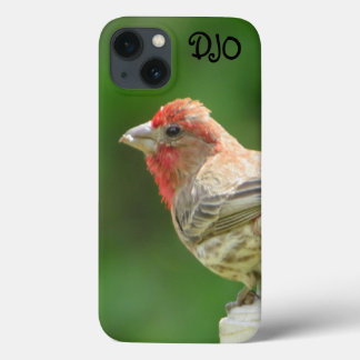 Male House Finch Case-Mate iPhone Case