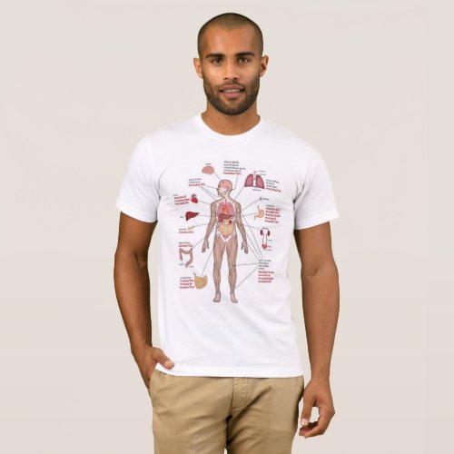 male_human_body_organs_hd_internal_system_of_human T_Shirt