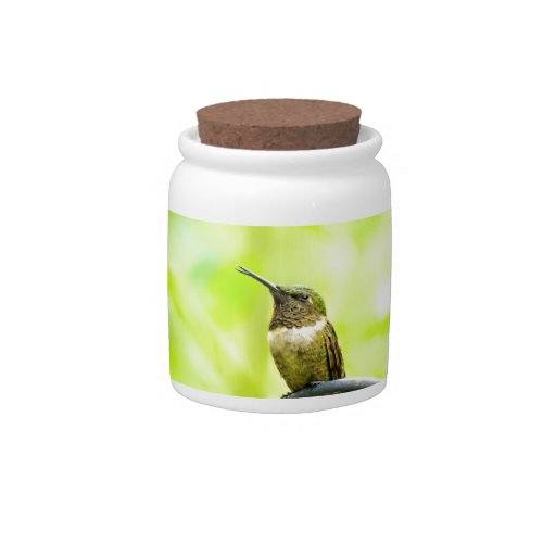 Male Hummingbird Products Candy Jar