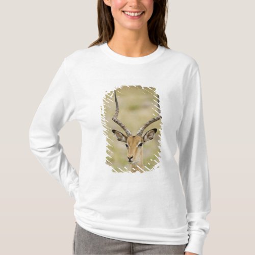 Male impala with beautiful horns in soft light T_Shirt