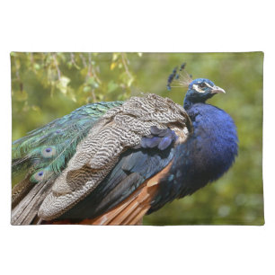 Male Indian Peafowl Placemat