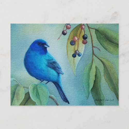 Male Indigo Bunting Bird Hackberry Watercolor Art Postcard