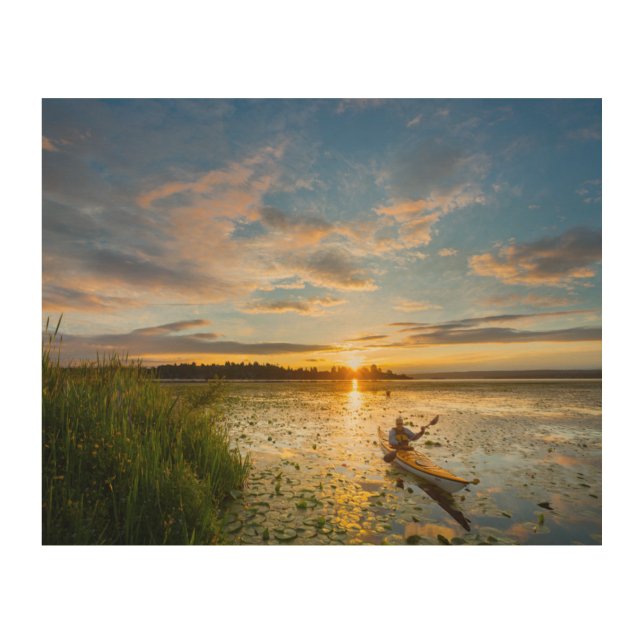 Male kayaker paddling sea kayak on still water wood wall art (Front)