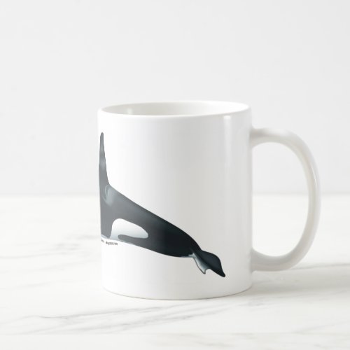 Male Killer Whale Classical Mug