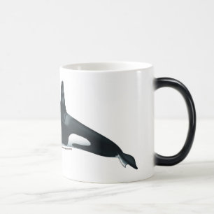 Male killer whale morphing mug