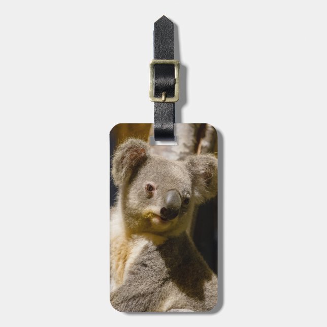 Male Koala Personalize Luggage Tag (Front Vertical)