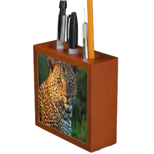Male Leopard (Panthera Pardus) Full-Grown Cub Desk Organizer