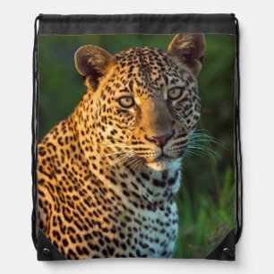 Male Leopard (Panthera Pardus) Full-Grown Cub Drawstring Bag